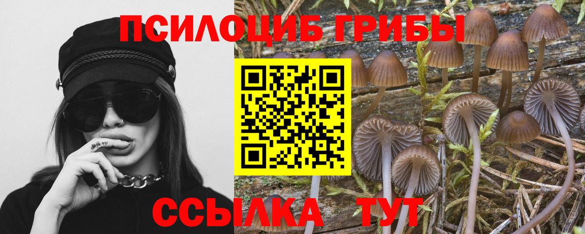 Выборг  дарнет шоп  Вход с VPN  Псилоцибиновые грибы прущие грибы 