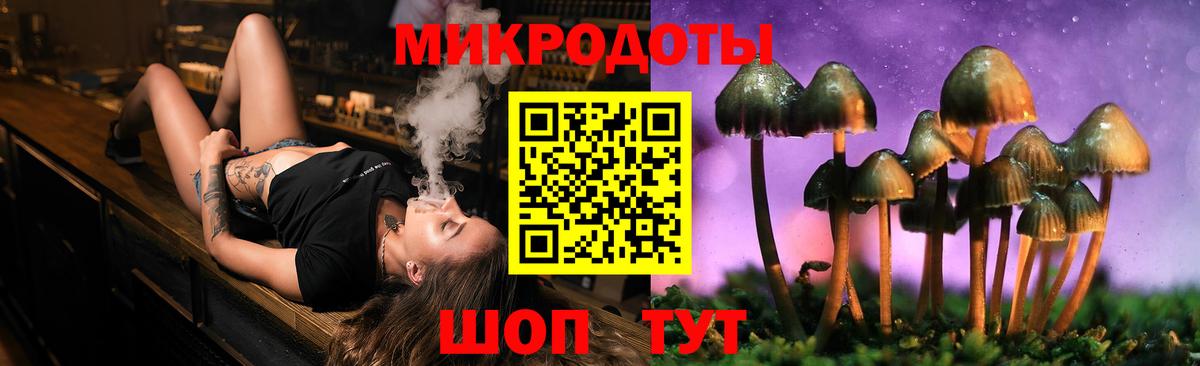 Галлюциногенные грибы Cubensis Выборг